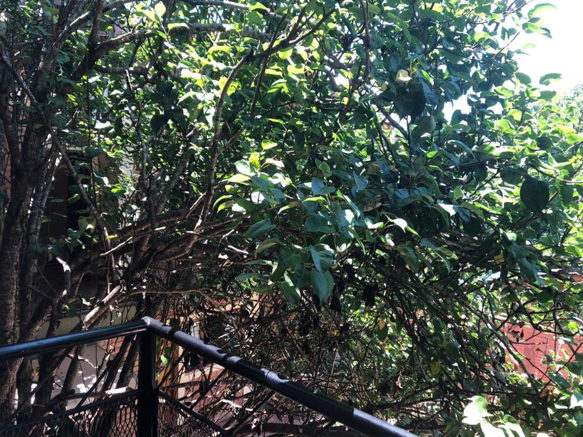 Dorys Cataratas Del Iguazu Apartment